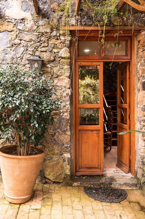 Homeforguest Cosy Rural Flat El Romero With Large Gardens Tacoronte Exterior foto