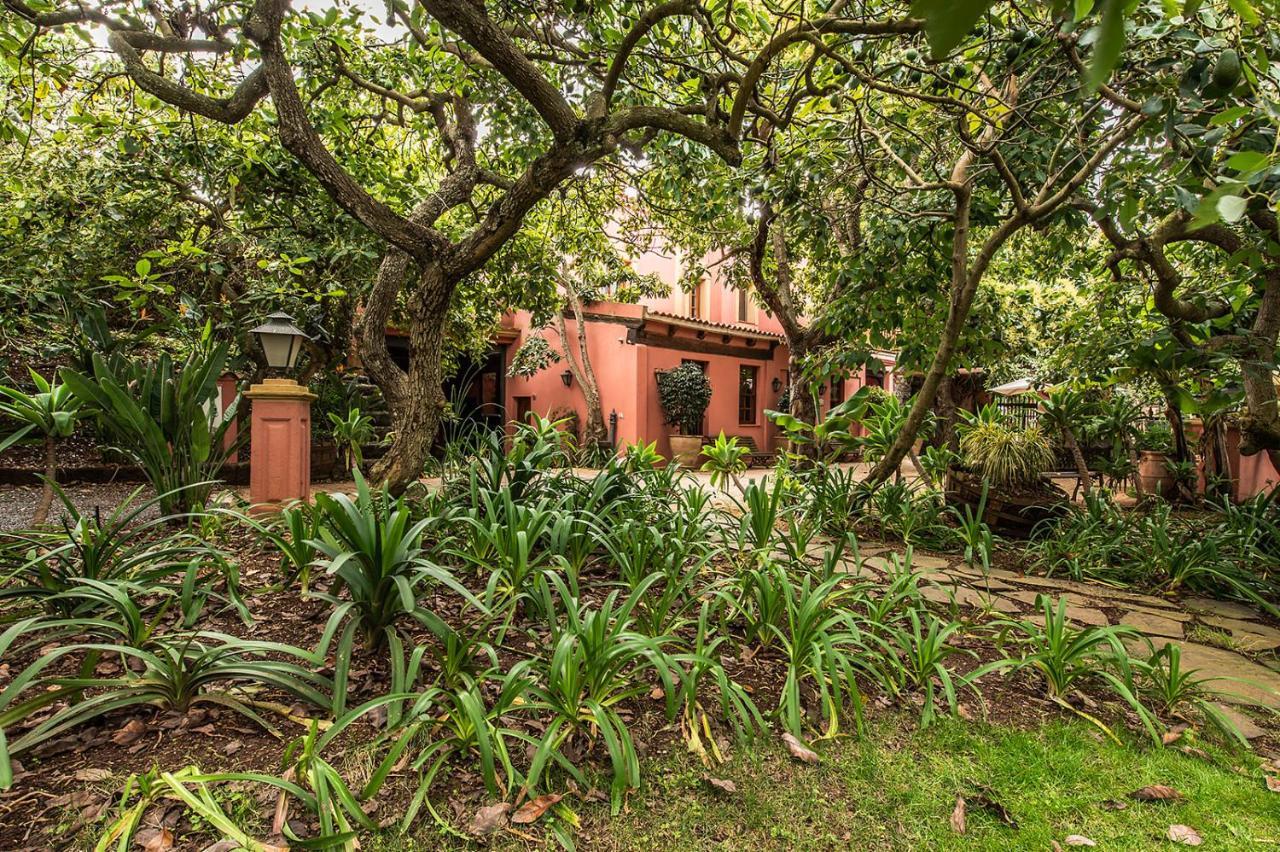 Homeforguest Cosy Rural Flat El Romero With Large Gardens Tacoronte Exterior foto